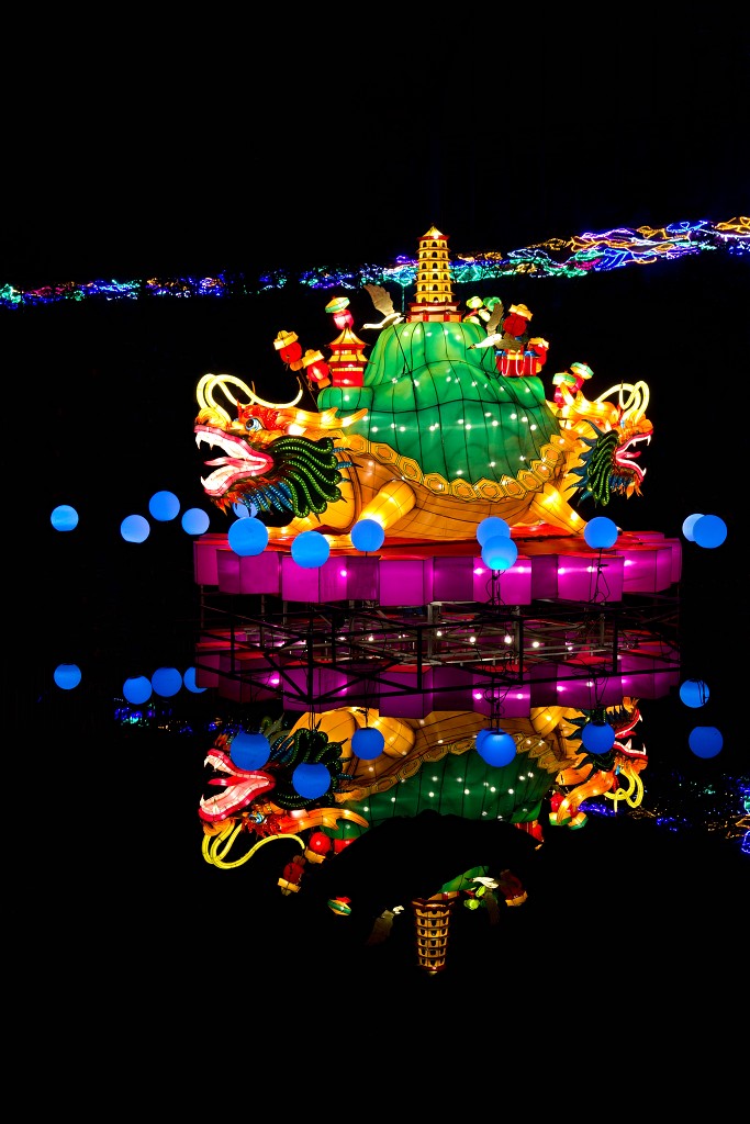 china light licht festival lichtshow show festiviteit glow evenement event chinees chinese verlichting draak dragon lichtfestival zoo